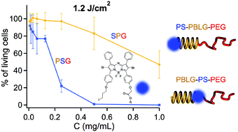 Graphical abstract: Photosensitizer localization in amphiphilic block copolymers controls photodynamic therapy efficacy