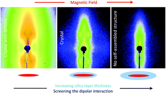 Graphical abstract: Hybrid magnetic iron oxide nanoparticles with tunable field-directed self-assembly