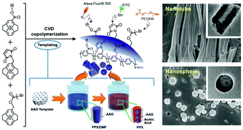 Graphical abstract: Multifunctional nanoparticles with controllable dimensions and tripled orthogonal reactivity