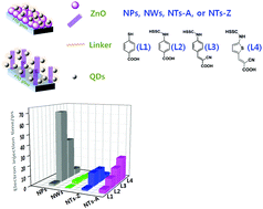Graphical abstract: The electron injection rate in CdSe quantum dot sensitized solar cells: from a bifunctional linker and zinc oxide morphology