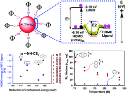 Graphical abstract: Elucidating the role of surface passivating ligand structural parameters in hole wave function delocalization in semiconductor cluster molecules