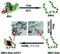 Graphical abstract: In-site encapsulating gold “nanowires” into hemin-coupled protein scaffolds through biomimetic assembly towards the nanocomposites with strong catalysis, electrocatalysis, and fluorescence properties