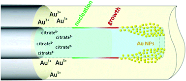 Graphical abstract: An engineering approach to synthesis of gold and silver nanoparticles by controlling hydrodynamics and mixing based on a coaxial flow reactor
