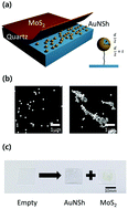 Graphical abstract: Large-area plasmon enhanced two-dimensional MoS2