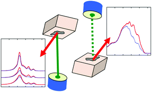 Graphical abstract: Optical polarization of excitons and trions under continuous and pulsed excitation in single layers of WSe2