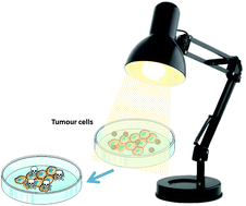 Graphical abstract: A novel visible light responsive nanosystem for cancer treatment