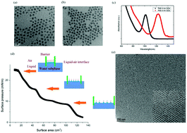 Graphical abstract: Difference in hot carrier cooling rate between Langmuir–Blodgett and drop cast PbS QD films due to strong electron–phonon coupling