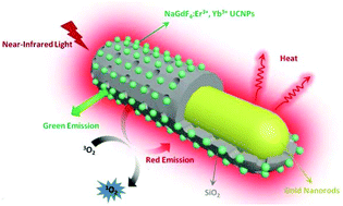 Graphical abstract: Upconverting nanocomposites with combined photothermal and photodynamic effects