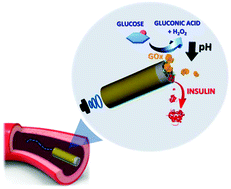 Graphical abstract: Biomedical nanomotors: efficient glucose-mediated insulin release