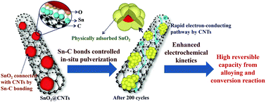 Graphical abstract: Controlling the Sn–C bonds content in SnO2@CNTs composite to form in situ pulverized structure for enhanced electrochemical kinetics