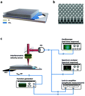 Graphical abstract: Probing the chaotic boundary of a membrane resonator with nanowire arrays