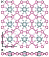 Graphical abstract: A two-dimensional TiB4 monolayer exhibits planar octacoordinate Ti