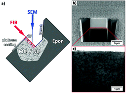 Graphical abstract: FIB and MIP: understanding nanoscale porosity in molecularly imprinted polymers via 3D FIB/SEM tomography