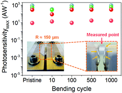 Graphical abstract: Wide-spectral/dynamic-range skin-compatible phototransistors enabled by floated heterojunction structures with surface functionalized SWCNTs and amorphous oxide semiconductors