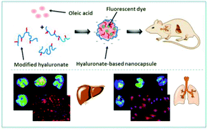 Graphical abstract: Robust oil-core nanocapsules with hyaluronate-based shells as promising nanovehicles for lipophilic compounds