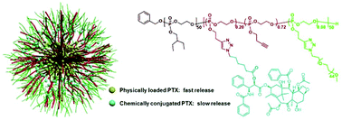 Graphical abstract: Design and development of multifunctional polyphosphoester-based nanoparticles for ultrahigh paclitaxel dual loading