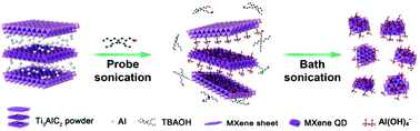 Graphical abstract: Fluorine-free preparation of titanium carbide MXene quantum dots with high near-infrared photothermal performances for cancer therapy