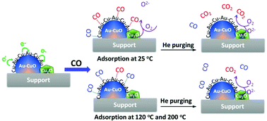 Graphical abstract: Insight into the chemical adsorption properties of CO molecules supported on Au or Cu and hybridized Au–CuO nanoparticles