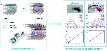Graphical abstract: A facile strategy for enzyme immobilization with highly stable hierarchically porous metal–organic frameworks