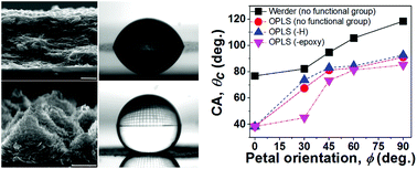 Graphical abstract: Superhydrophobic inkjet printed flexible graphene circuits via direct-pulsed laser writing