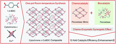 Graphical abstract: In situ hybridization of enzymes and their metal–organic framework analogues with enhanced activity and stability by biomimetic mineralisation