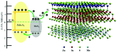 Graphical abstract: A 2D self-assembled MoS2/ZnIn2S4 heterostructure for efficient photocatalytic hydrogen evolution