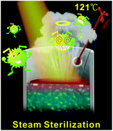 Graphical abstract: Floating rGO-based black membranes for solar driven sterilization