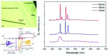 Graphical abstract: Reverse-bias-driven whispering gallery mode lasing from individual ZnO microwire/p-Si heterojunction