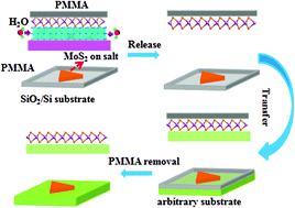 Graphical abstract: Damage-free and rapid transfer of CVD-grown two-dimensional transition metal dichalcogenides by dissolving sacrificial water-soluble layers