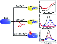 Graphical abstract: Generating plasmonic heterostructures by cation exchange and redox reactions of covellite CuS nanocrystals with Au3+ ions