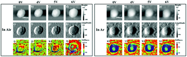 Graphical abstract: In situ probing behaviors of single LiNiO2 nanoparticles by merging CAFM and AM–FM techniques