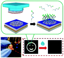 Graphical abstract: Self-standing aptamers by an artificial defect-rich matrix