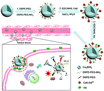 Graphical abstract: Functionalized Cu3BiS3 nanoparticles for dual-modal imaging and targeted photothermal/photodynamic therapy