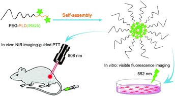 Graphical abstract: Turning double hydrophilic into amphiphilic: IR825-conjugated polymeric nanomicelles for near-infrared fluorescence imaging-guided photothermal cancer therapy