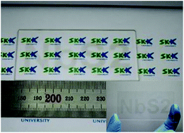 Graphical abstract: Large-area niobium disulfide thin films as transparent electrodes for devices based on two-dimensional materials