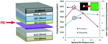 Graphical abstract: The role of polyethylenimine in enhancing the efficiency of quantum dot light-emitting devices