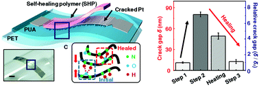 Graphical abstract: A semi-permanent and durable nanoscale-crack-based sensor by on-demand healing