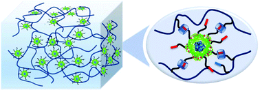 Graphical abstract: Compartmentalized supramolecular hydrogels based on viral nanocages towards sophisticated cargo administration