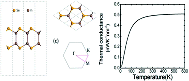 Graphical abstract: Unusual phonon behavior and ultra-low thermal conductance of monolayer InSe