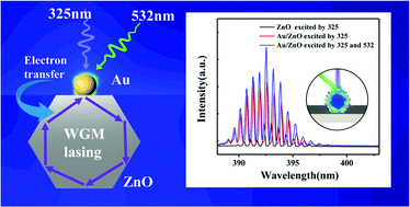 Graphical abstract: Extra green light induced ZnO ultraviolet lasing enhancement assisted by Au surface plasmons