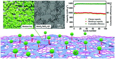 Graphical abstract: Coupling interconnected MoO3/WO3 nanosheets with a graphene framework as a highly efficient anode for lithium-ion batteries