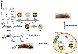 Graphical abstract: pH-Responsible fluorescent carbon nanoparticles for tumor selective theranostics via pH-turn on/off fluorescence and photothermal effect in vivo and in vitro