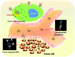 Graphical abstract: A tailored nanosheet decorated with a metallized dendrimer for angiography and magnetic resonance imaging-guided combined chemotherapy