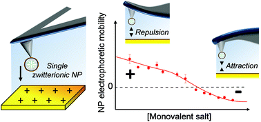 Graphical abstract: Remarkable reversal of electrostatic interaction forces on zwitterionic soft nanointerfaces in a monovalent aqueous electrolyte: an AFM study at the single nanoparticle level