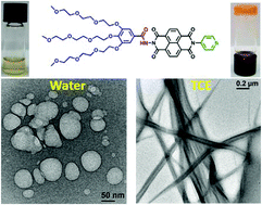 Graphical abstract: Solvent switchable nanostructures and the function of a π-amphiphile