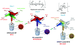 Graphical abstract: Scalable production of core–shell nanoparticles by flash nanocomplexation to enhance mucosal transport for oral delivery of insulin