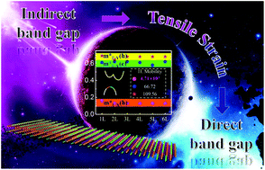 Graphical abstract: DFT coupled with NEGF study of a promising two-dimensional channel material: black phosphorene-type GaTeCl