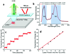 Graphical abstract: Near-field thermal imaging of optically excited gold nanostructures: scaling principles for collective heating with heat dissipation into the surrounding medium