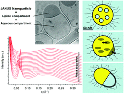 Graphical abstract: A scalable process to produce lipid-based compartmented Janus nanoparticles with pharmaceutically approved excipients