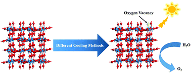 Graphical abstract: Oxygen vacancy regulation on tungsten oxides with specific exposed facets for enhanced visible-light-driven photocatalytic oxidation